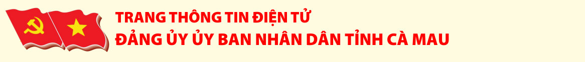 image banner